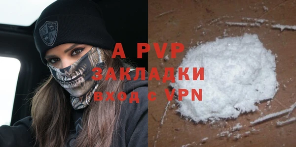 прущие грибы Коряжма