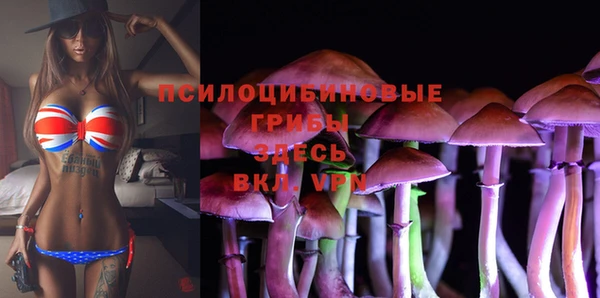 ALPHA PVP Краснотурьинск
