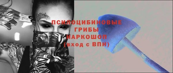 крисы Корсаков