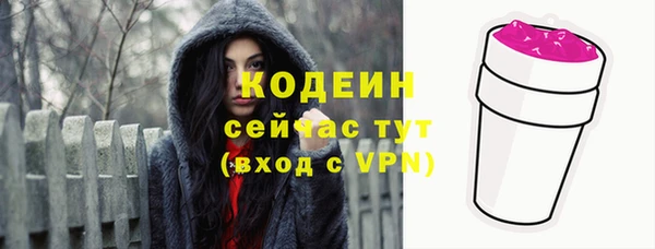 прущие грибы Коряжма