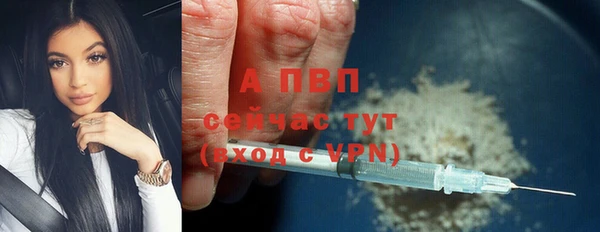 прущие грибы Коряжма