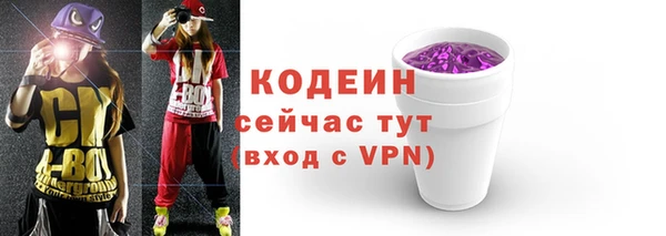 крисы Корсаков