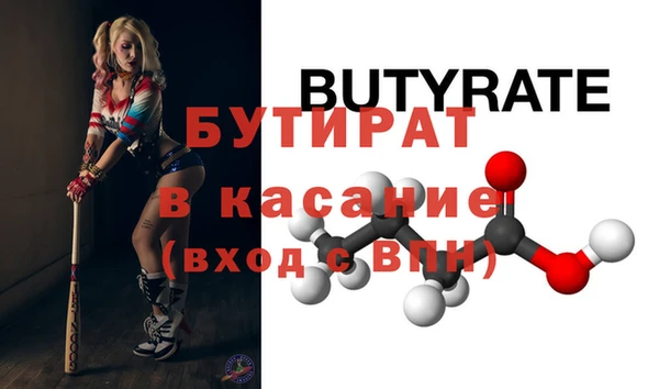 крисы Корсаков