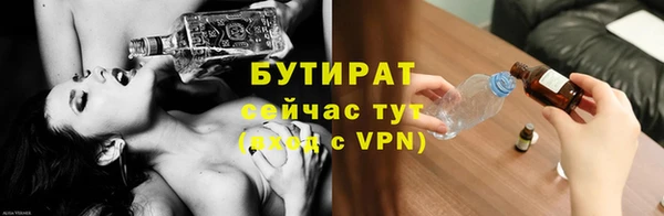 крисы Корсаков