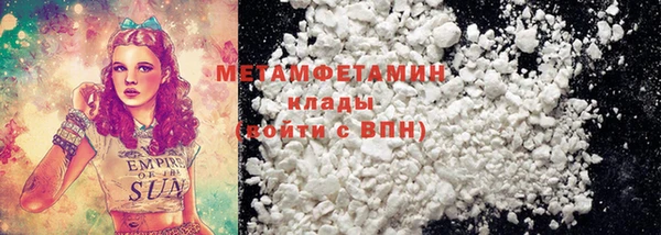 прущие грибы Коряжма