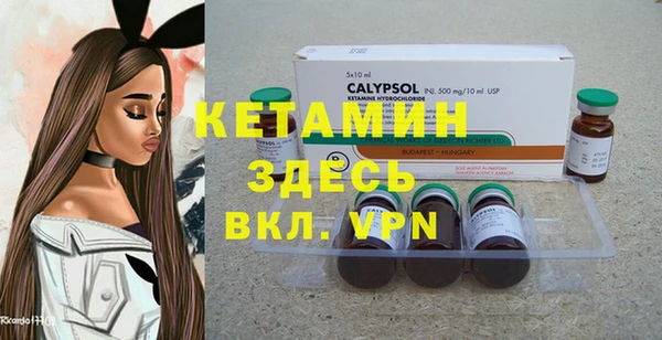 крисы Корсаков