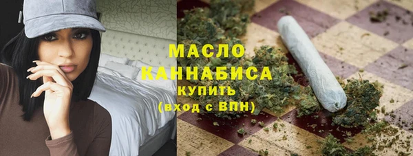 крисы Корсаков