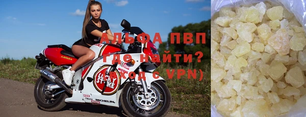 крисы Корсаков