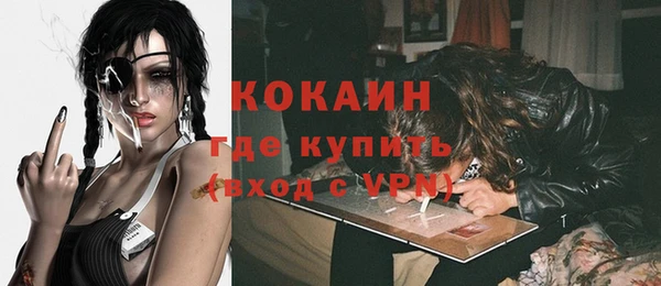 крисы Корсаков
