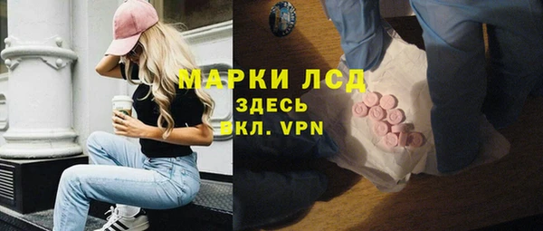 прущие грибы Коряжма