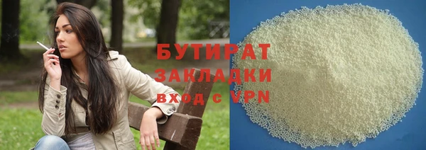 крисы Корсаков