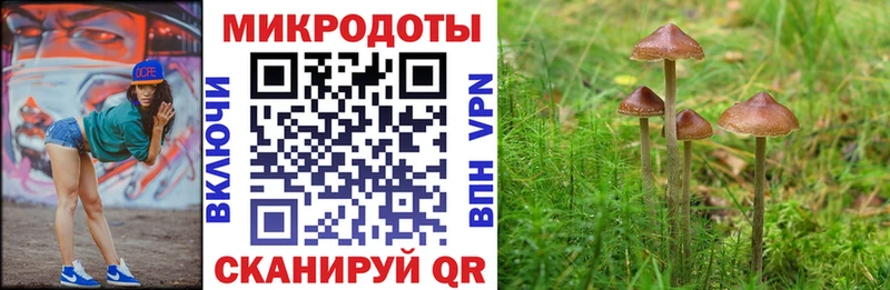 Псилоцибиновые грибы MAGIC MUSHROOMS  дарк нет клад  omg ТОР  Малгобек  наркошоп 
